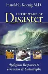 In the Wake of Disaster cover
