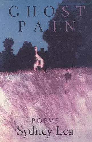 Ghost Pain cover