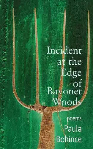 Incident at the Edge of Bayonet Woods cover