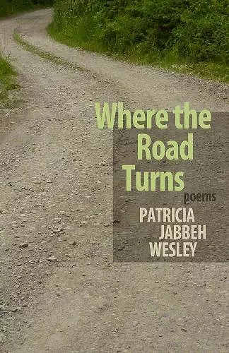 Where the Road Turns cover