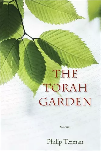 The Torah Garden cover
