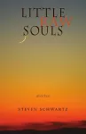 Little Raw Souls cover