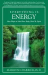 Everything is Energy cover