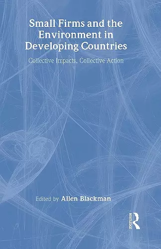 Small Firms and the Environment in Developing Countries cover