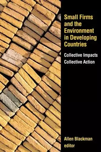 Small Firms and the Environment in Developing Countries cover