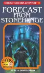 Forecast From Stonehenge cover