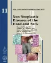 Non-Neoplastic Diseases of the Head and Neck cover