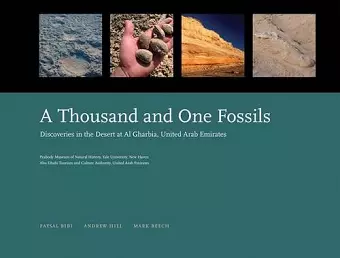 A Thousand and One Fossils cover