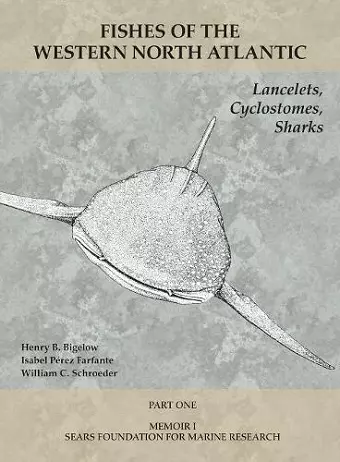 Lancelets, Cyclostomes, Sharks cover