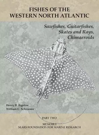 Sawfishes, Guitarfishes, Skates and Rays, Chimaeroids cover