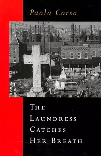 The Laundress Catches Her Breath cover