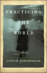 Practicing the World cover