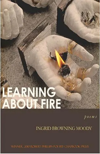 Learning About Fire cover