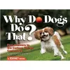 Why Do Dogs Do That? cover