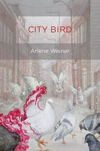 City Bird cover