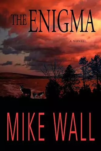 The Enigma cover