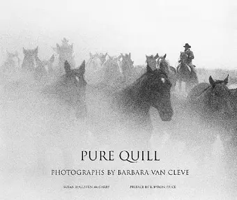 Pure Quill cover