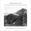 Prehistoric Suns cover