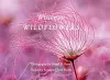 Wisconsin Wildflowers cover