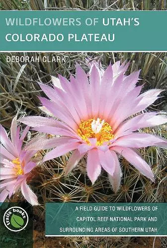 Wildflowers of Utah's Colorado Plateau cover