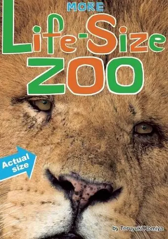 More Life-Size Zoo cover