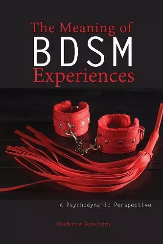 The Meaning of Bdsm Experiences cover