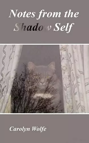 Notes from the Shadow Self cover