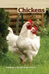 Chickens cover