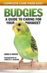 Budgies cover
