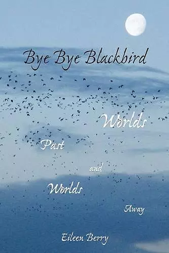 Bye Bye Blackbird cover