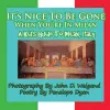 It's Nice to Be Gone When You're in Milan, a Kid's Guide to Milan, Italy cover