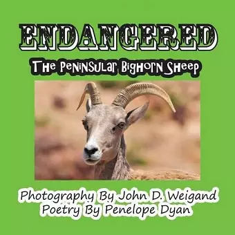 Endangered--The Peninsular Bighorn Sheep cover