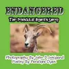 Endangered--The Peninsular Bighorn Sheep cover