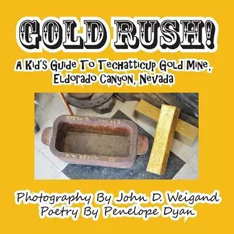 Gold Rush! a Kid's Guide to Techatticup Gold Mine, Eldorado Canyon, Nevada cover