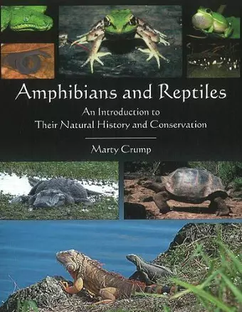 Amphibians & Reptiles cover