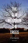 The Sun Between the Trees cover