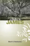 Studies in James cover