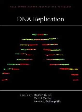 DNA Replication cover