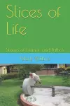 Slices of Life cover