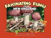 Fascinating Fungi of New England cover
