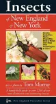 Insects of New England & New York cover