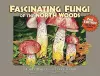 Fascinating Fungi of the North Woods, 2nd Edition cover