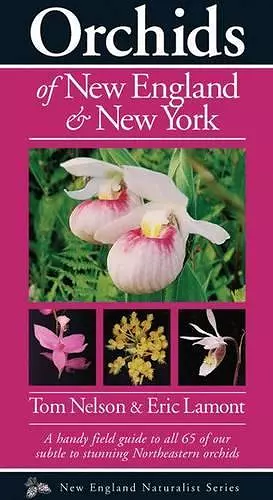 Orchids of New England & New York cover