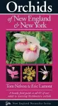 Orchids of New England & New York cover