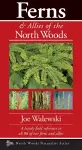 Ferns & Allies of the North Woods cover