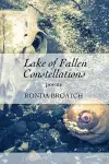 Lake of Fallen Constellations cover