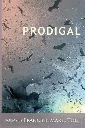 Prodigal cover