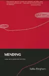 Mending cover