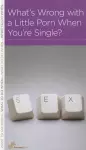 What's Wrong with a Little Porn When You're Single? cover