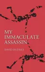 My Immaculate Assassin cover